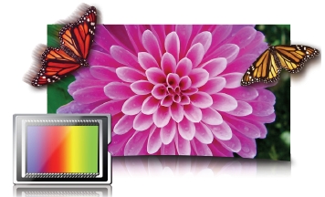 bright colors